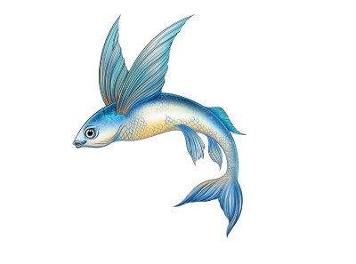 FLYING FISH