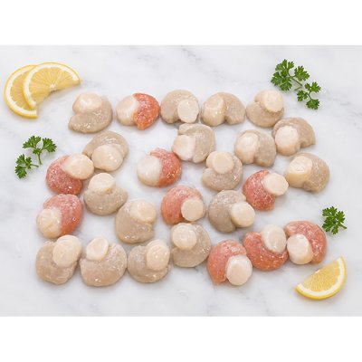 SÒ ĐIỆP ĐÔNG LẠNH CÓ TRỨNG