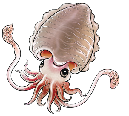 Động Vật Không Xương Sống