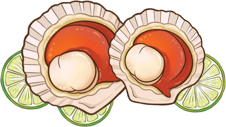 Sò Điệp Nửa Mảnh